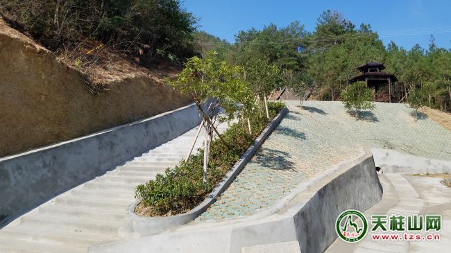 點(diǎn)擊看全圖